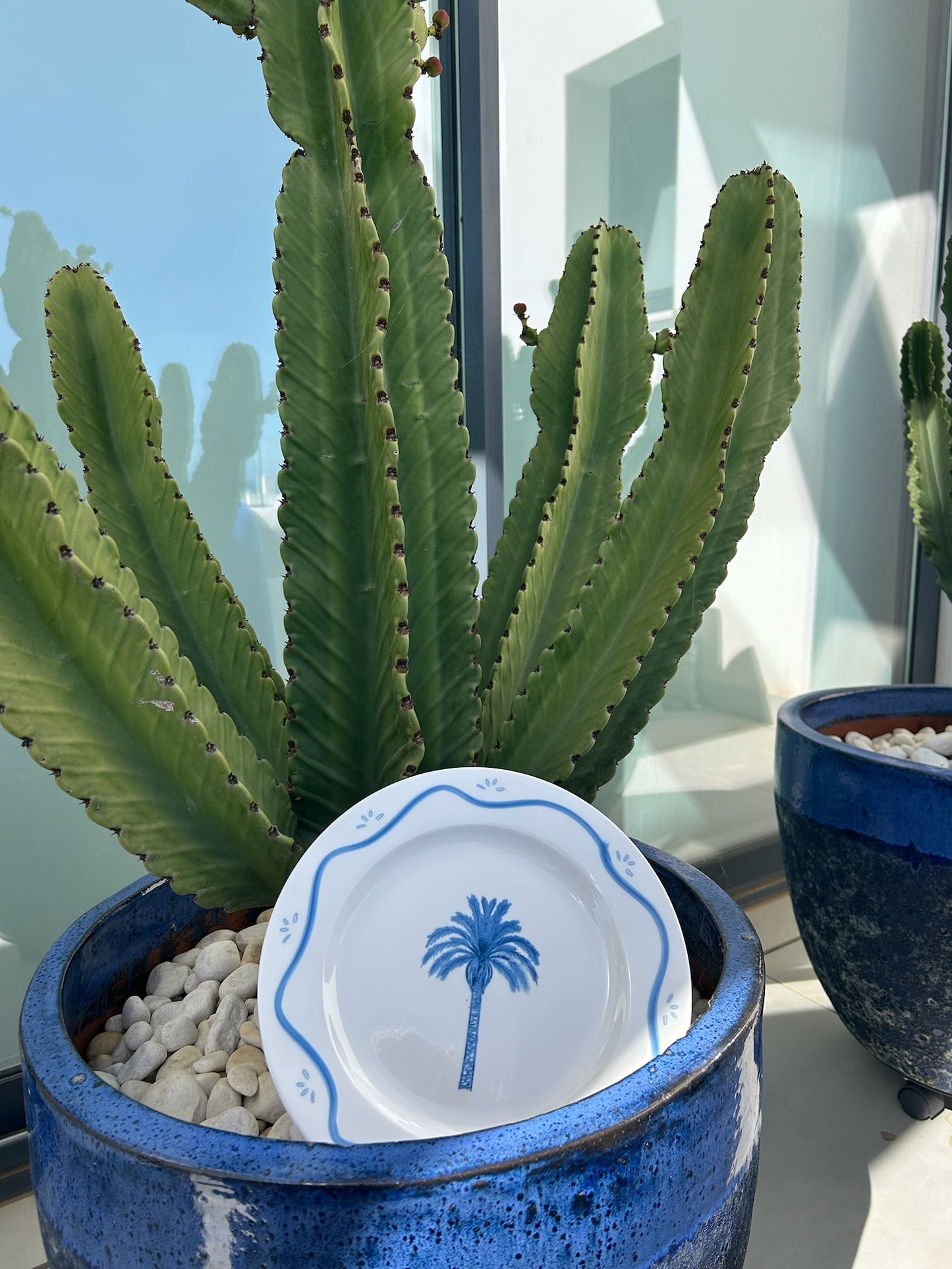 'Meet Me Under The Palms' set of 6